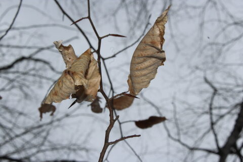 20200314152313_IMG_4313